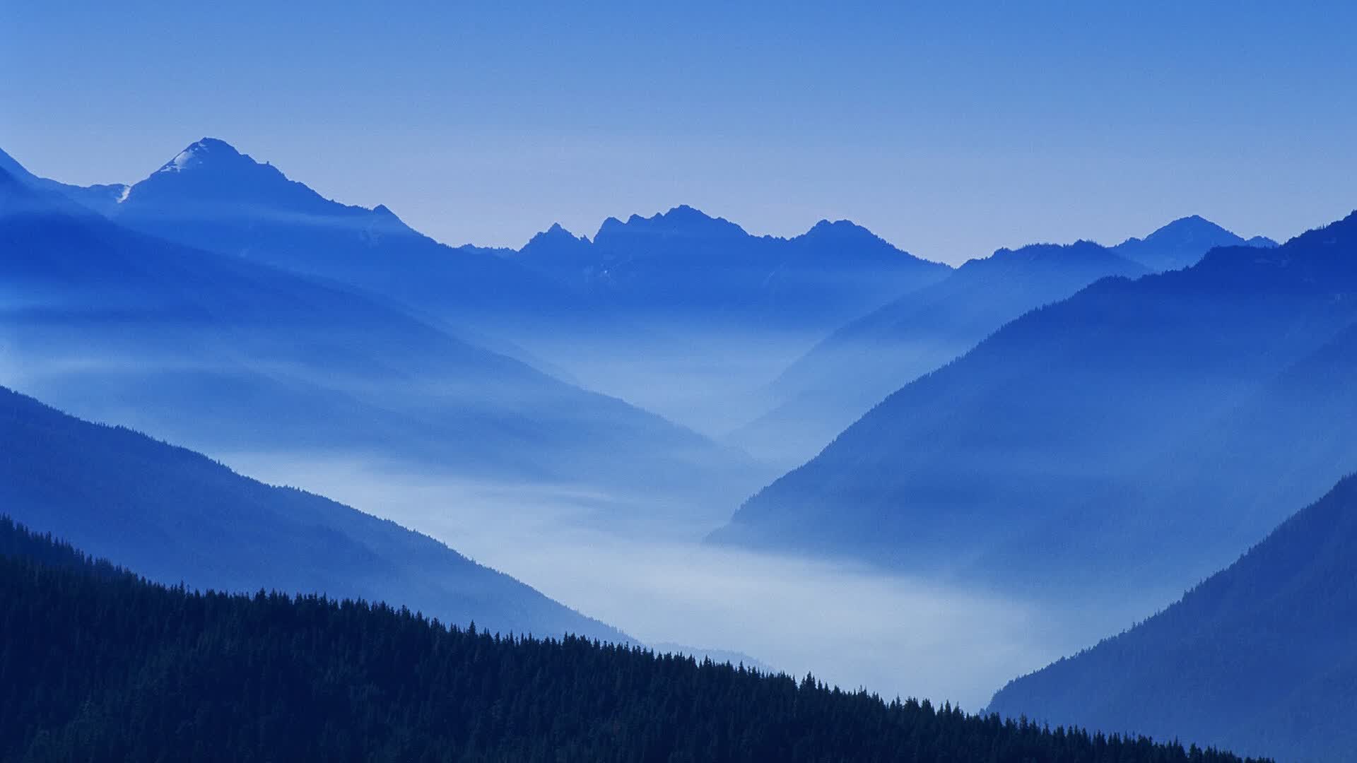 世界极限划艇巡回赛：选手在激流中争得名次，划艇奖牌榜